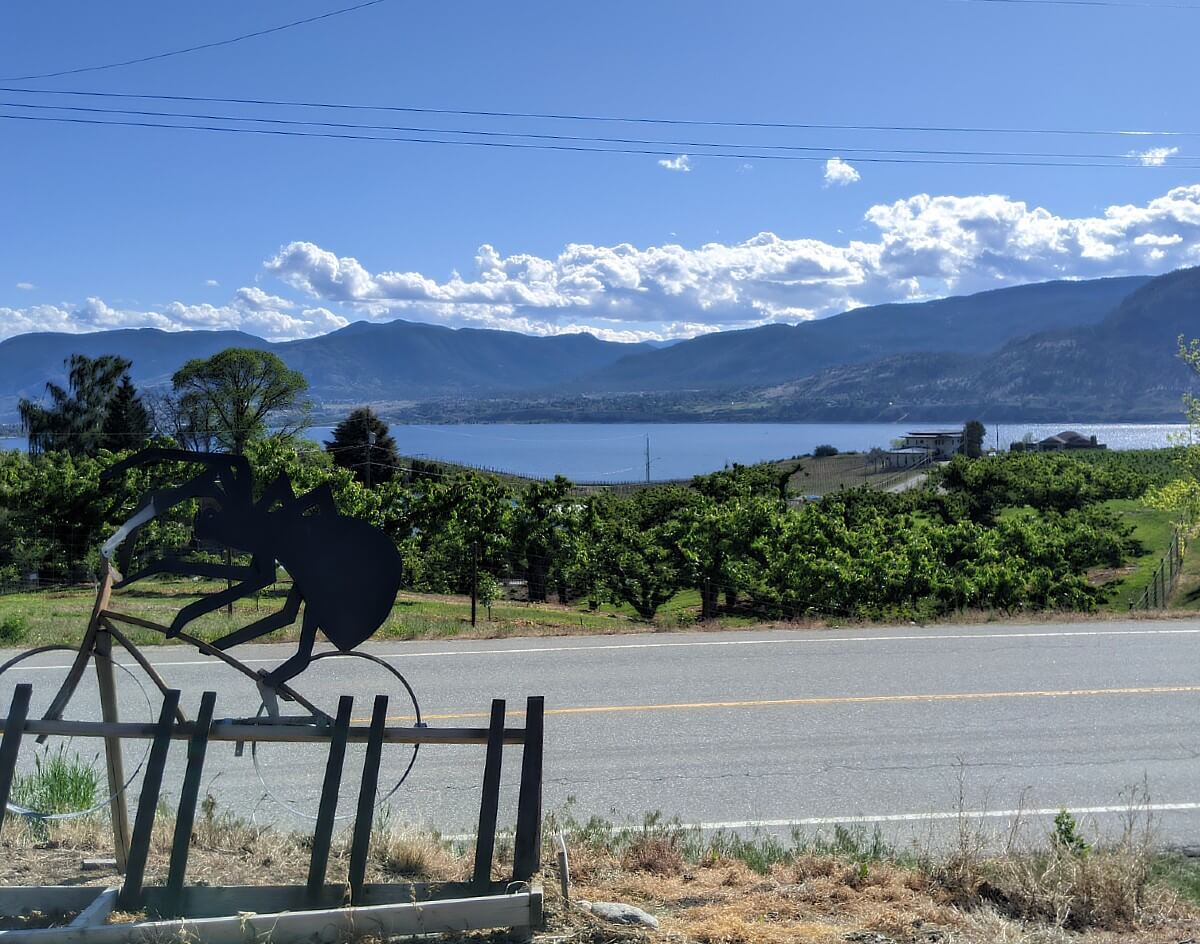 Looking across a road towards vineyards and Okanagan Lake from Black Widow Winery