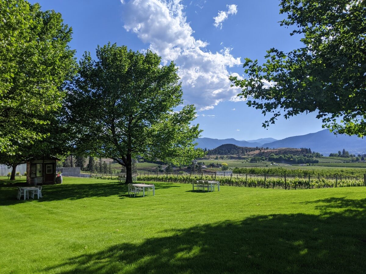 Side view of manicured lawn with three picnic tables, with large trees and views of vineyards and rolling hills in background