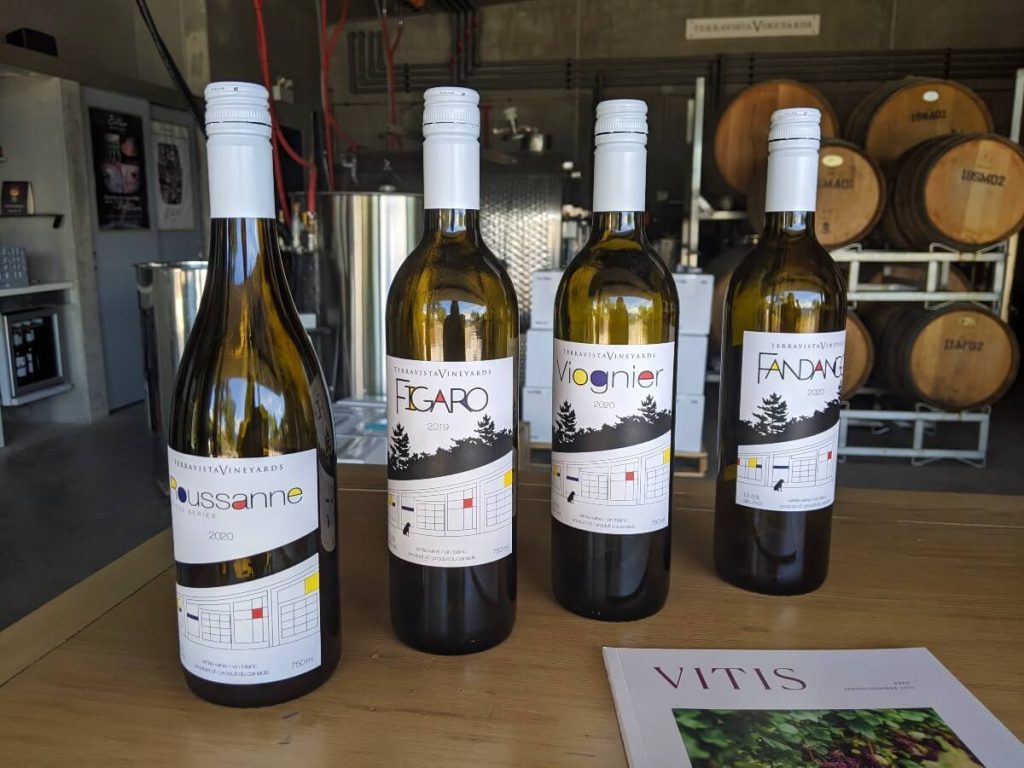 Four bottles of white wine lined up on table at Terravista Winery in Naramata