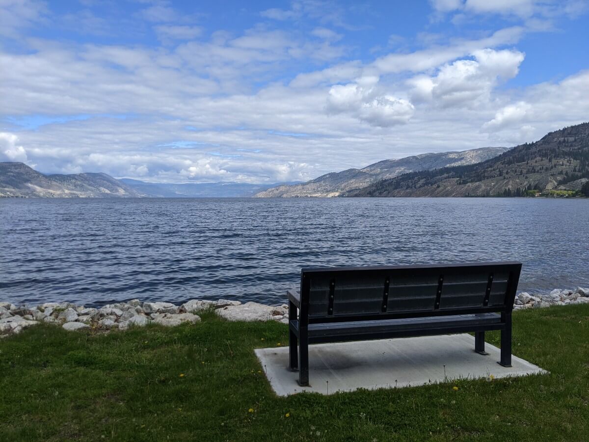 Back view of lakeside bench in Wharf Park surrounded by grass, looking out to views of rolling hills and mountains