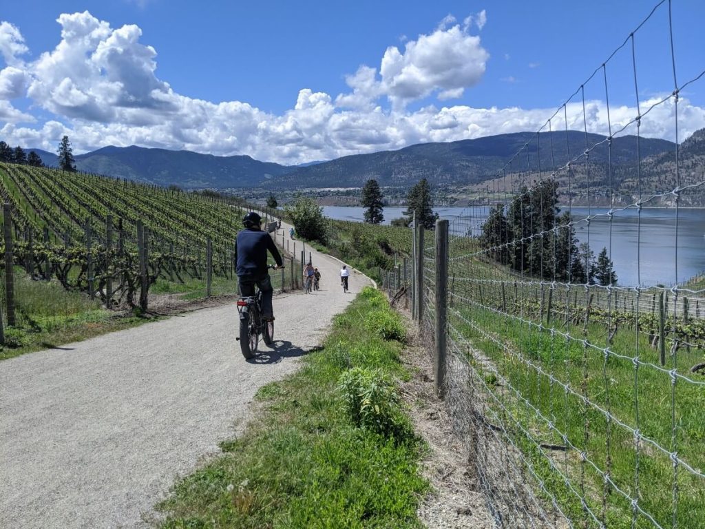 A cyclist is riding away from the camera on a downhill dirt path, with fencing on both sides and vineyards beyond. In the background, a calm lake is visible as well as mountainous terrain on the other side