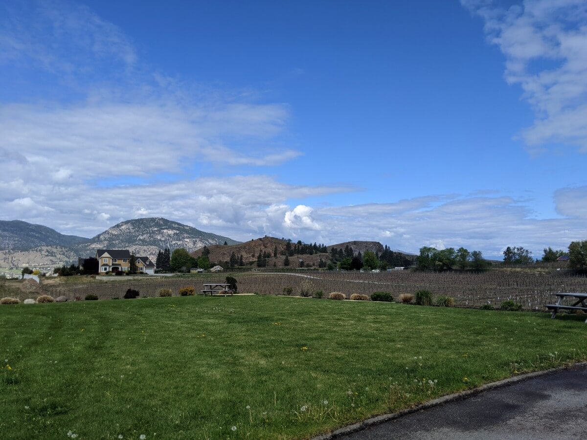 Looking across a grassy area to two scattered picnic benches, with vineyards on the other side, with mountains in background