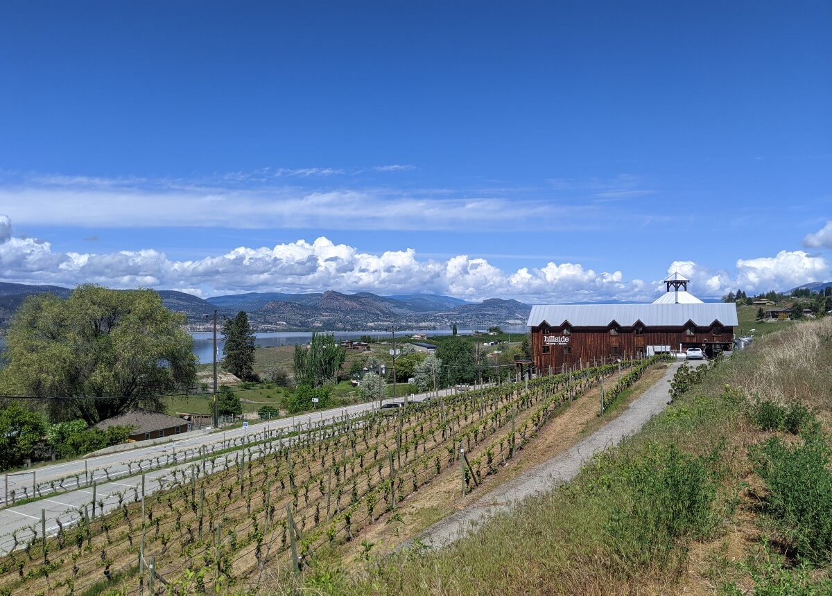 Looking across vineyard in spring to Hillside Winery, a tall wooden building in front of Naramata Road, with Okanagan Lake visible in background