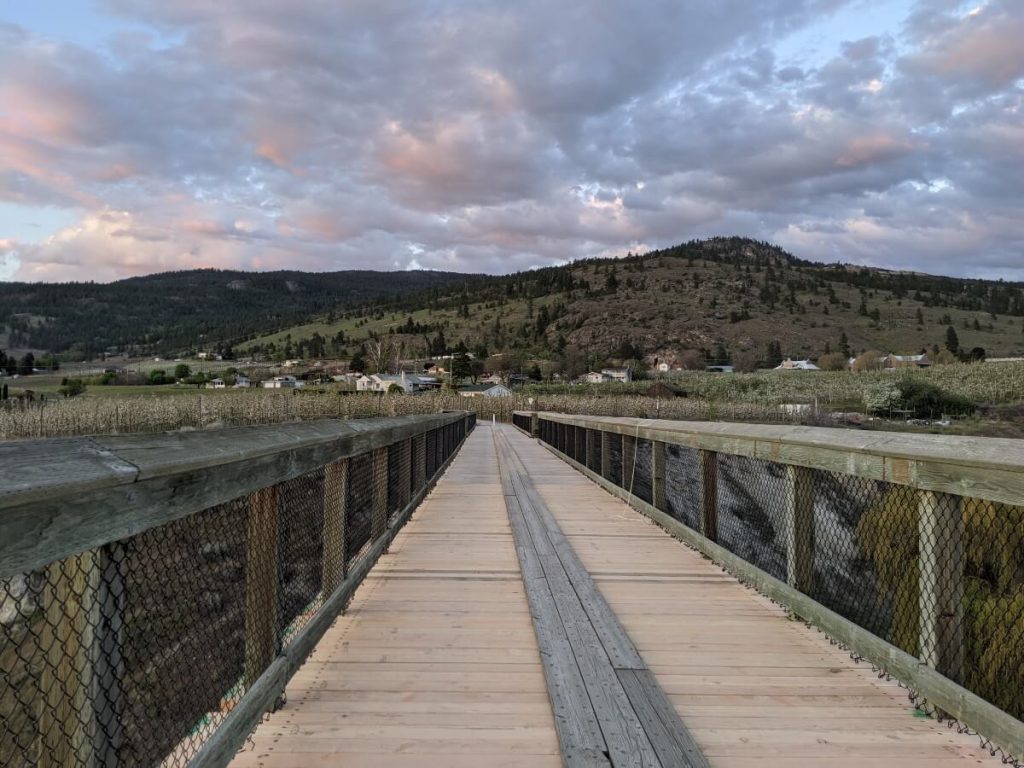 Looking across wooden McCulloch Trestle bridge on the Naramata Bench in Penticton