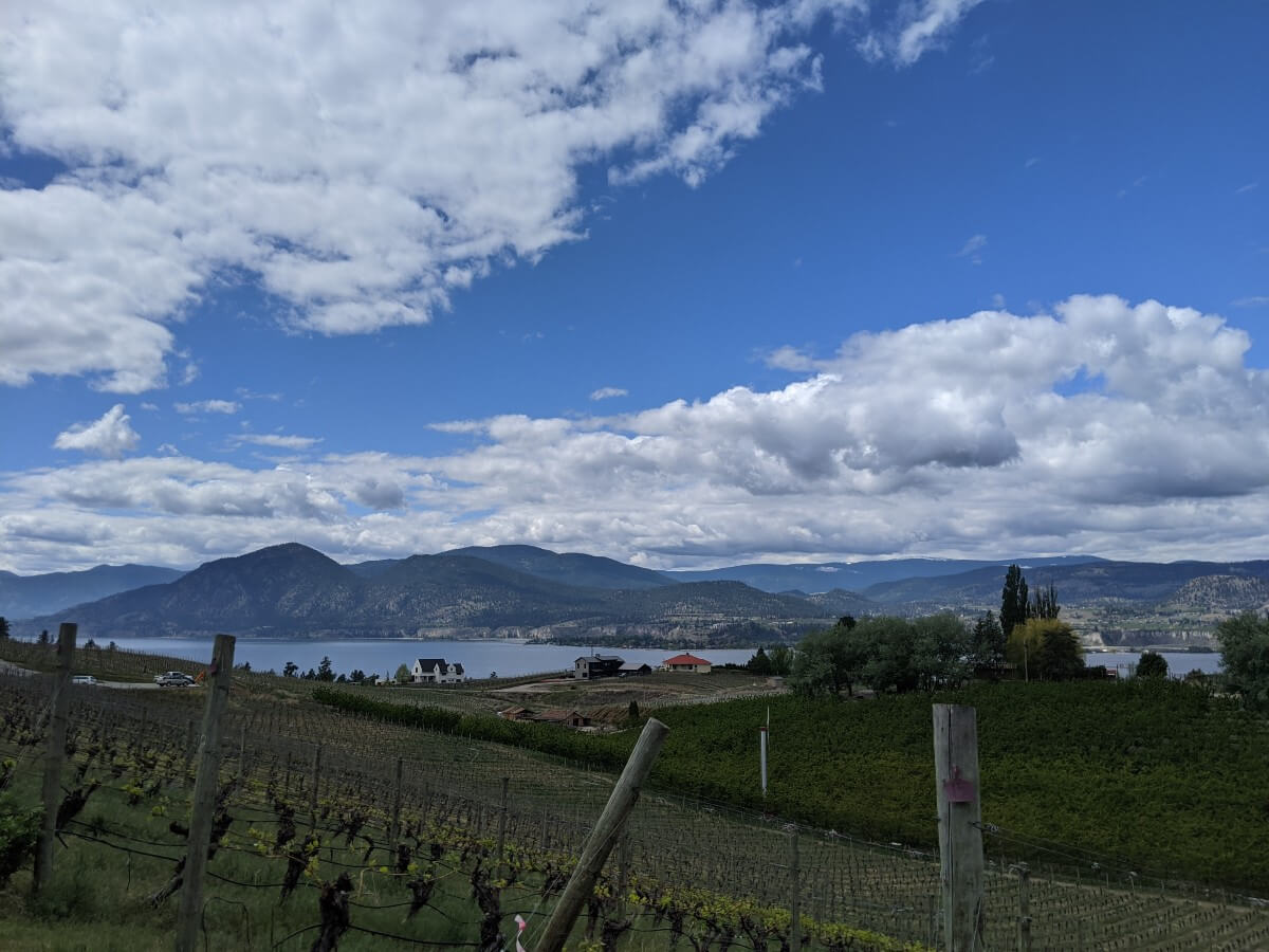 View over vineyards from Therapy Inn to Okanagan Lake and rounded mountains behind