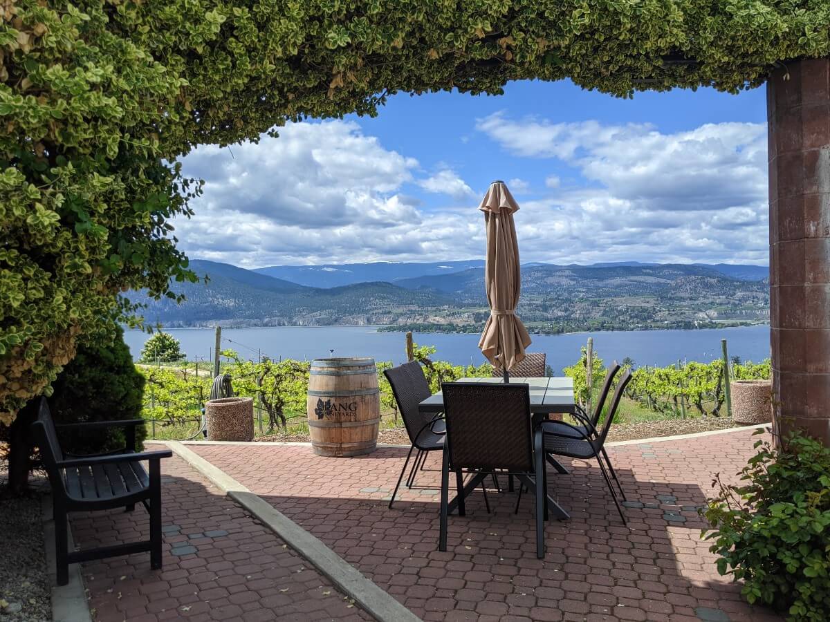 Looking through foliage to a patio table with six chairs (and umbrella) in front of vineyards and lake views at Lang Vineyards
