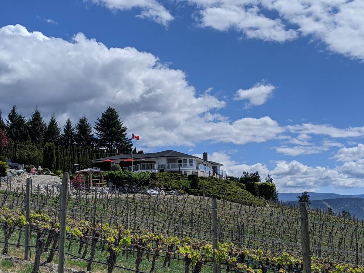 Side view of the Mocojo Winery with sloping vineyards leading down from two story building with Canadian flag