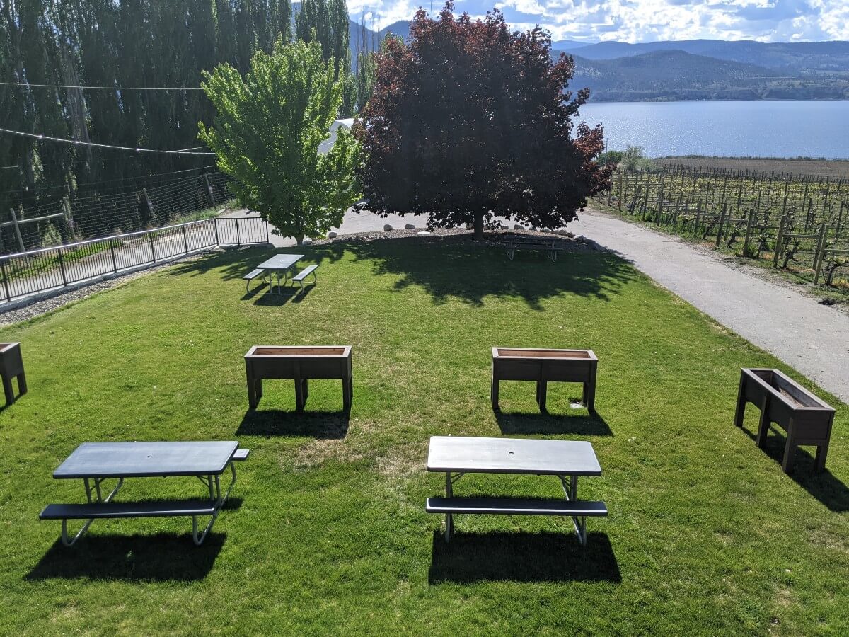 Looking down on a grassy lawn area with picnic tables and raised flower beds, backdropped by trees and bordered by vineyards
