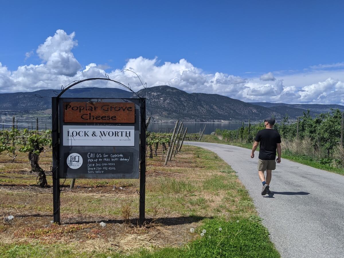 A man walks on a paved road through vineyards, with a Poplar Grove Cheese and Lock & Worth sign on left