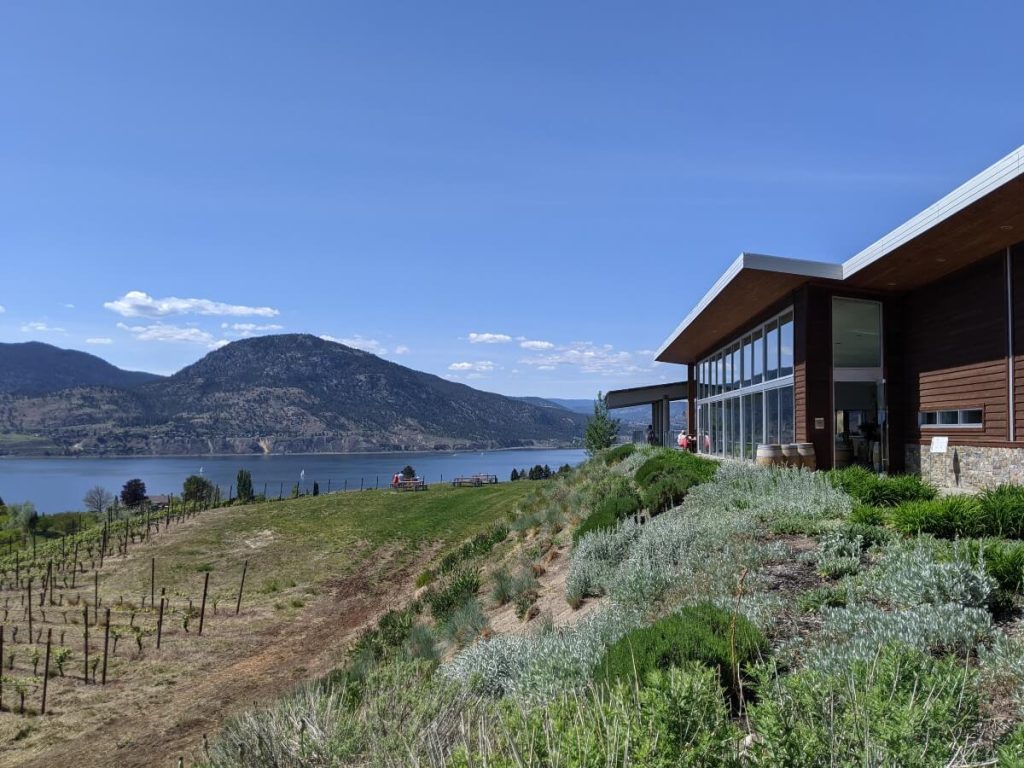 Side view of brown building with large bay windows at Poplar Grove Winery, which hosts one of the best restaurants in Penticton. In the distance, hills and lake view. Some vines are at the edge of a grassy area where some people are having a picnic.