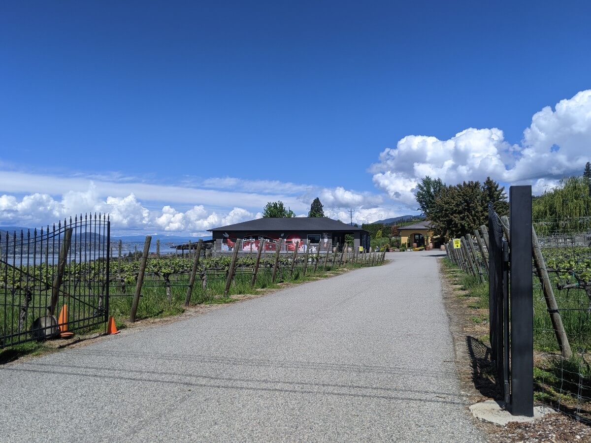 Side view of open gate at Ruby Blues Winery with vineyards leading the way to two buildings in background, the yellow wine shop and darker building with tasting bar