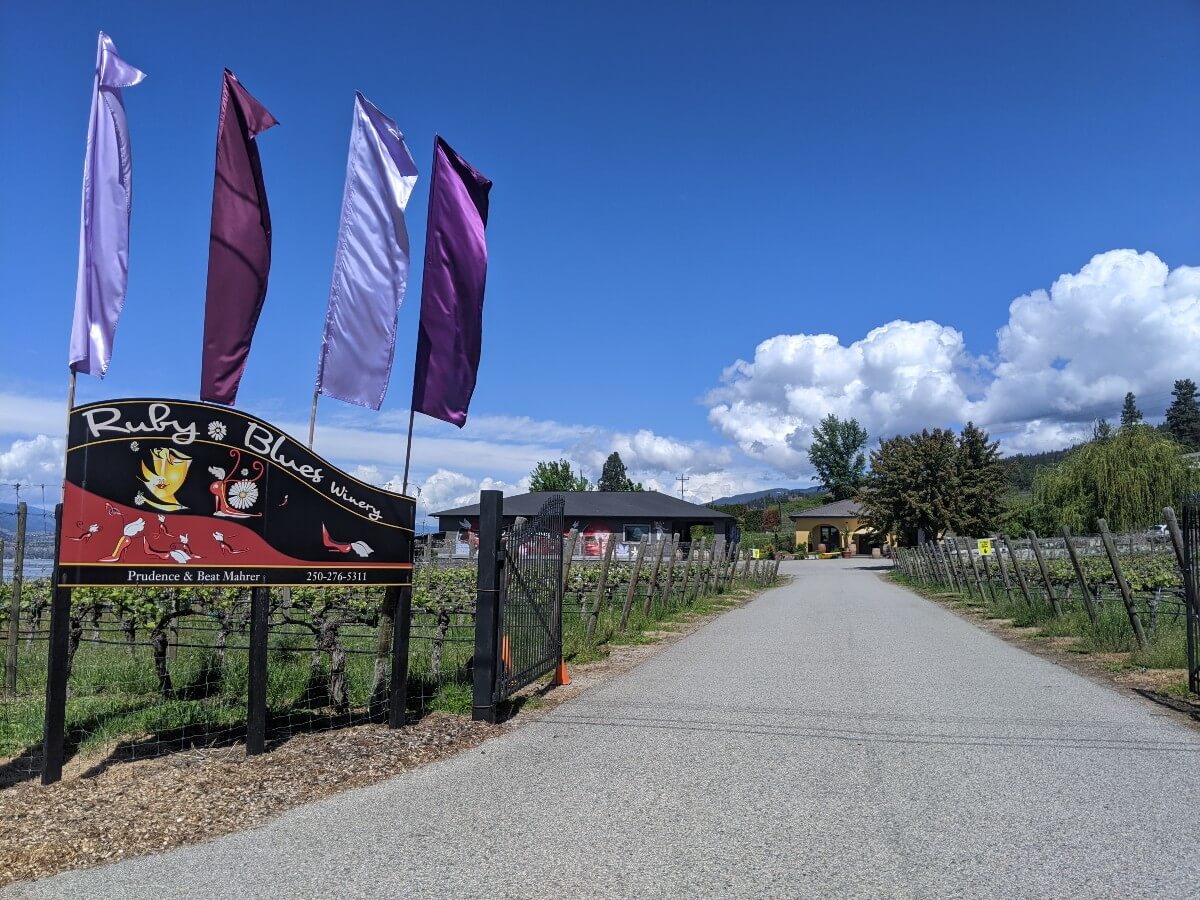 Looking up the paved driveway of Ruby Blues Winery, with black and red signage on left, open gate and vineyards leading the way to the yellow wine shop building in background