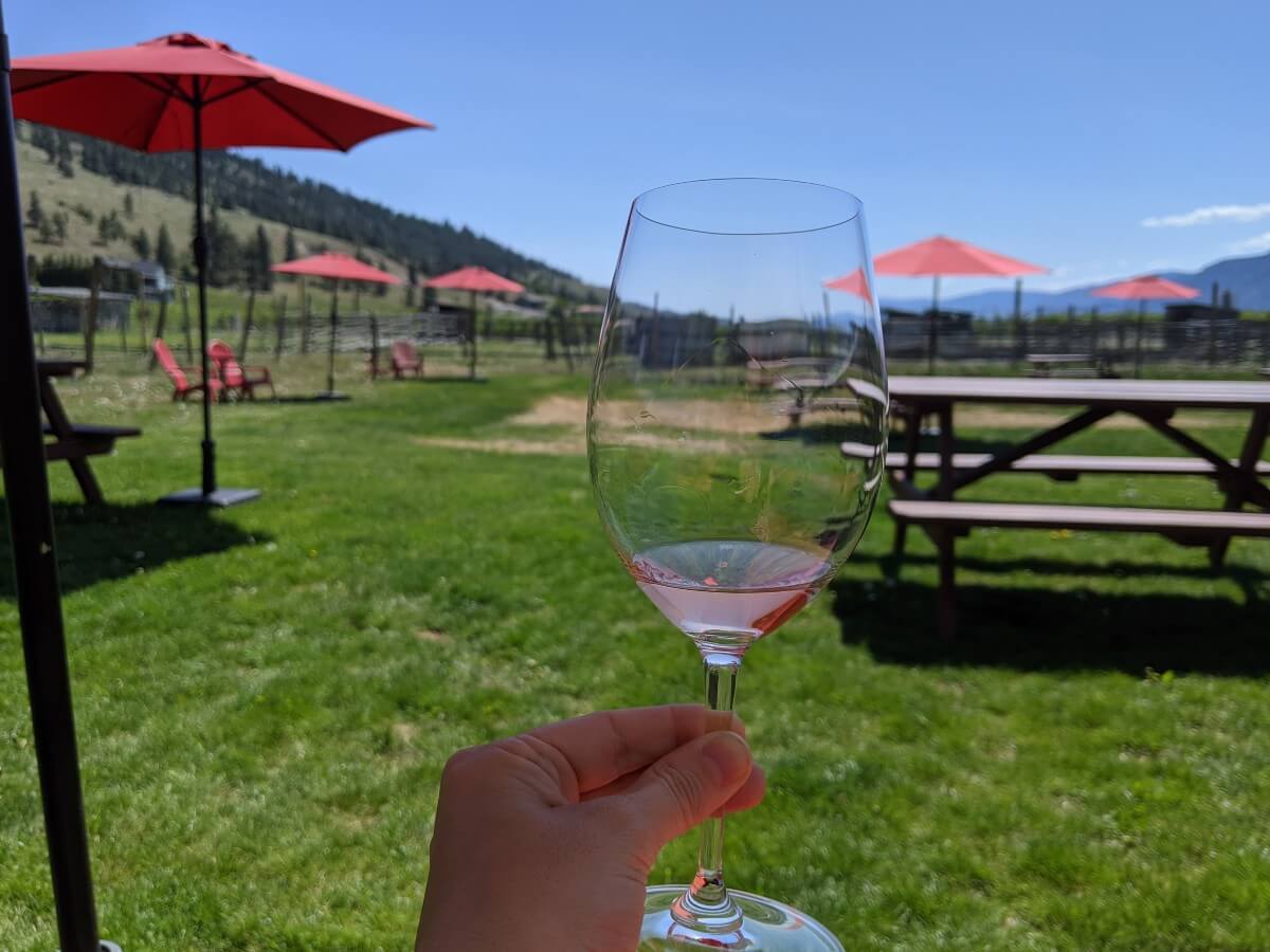 A hand is holding up a glass of rosé wine in front of the camera, with views of lawn and picnic tables in the background 