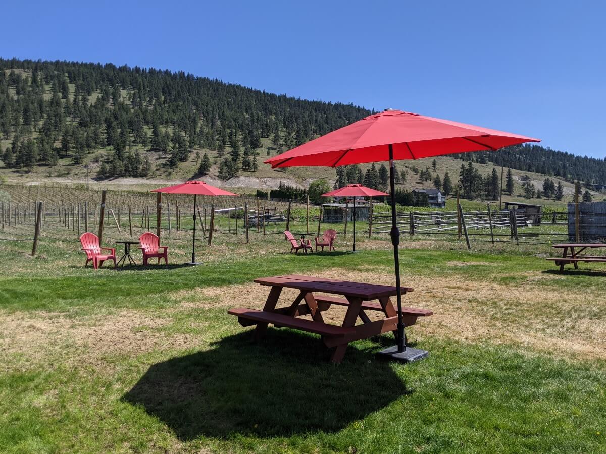 Side view of picnic table with umbrella on lawn at Township 7 Winery, with red Adirondack chairs near the vineyard in the background, with a forested hill as the backdrop