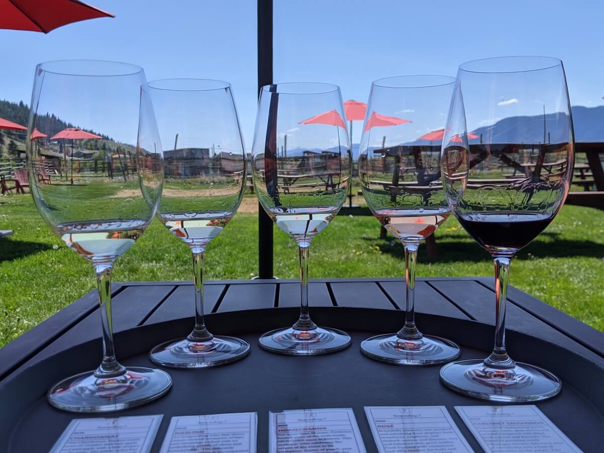 Five wine glasses filled with wine are lined up on a tray on a picnic table, with lawn and picnic table views in the background