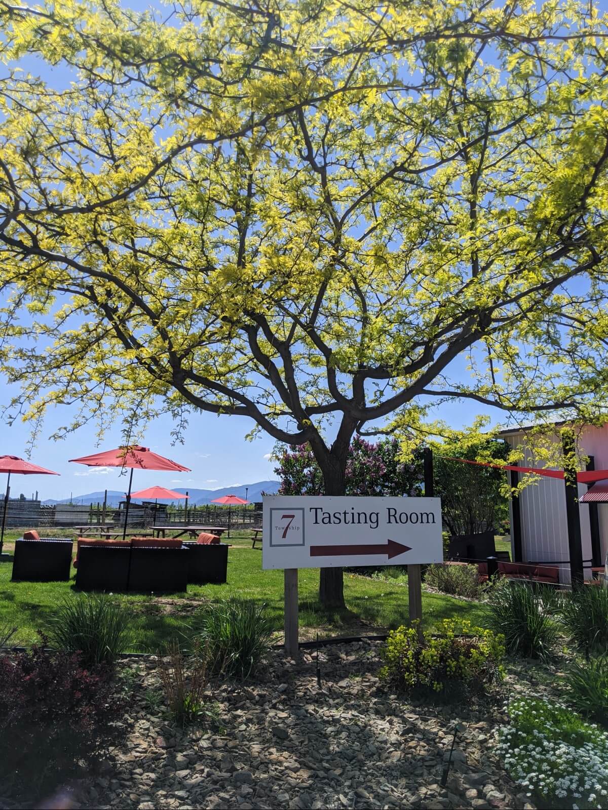 Township 7 Winery tasting room sign with arrow in front of outdoor tasting area, with red umbrellas visible to the left