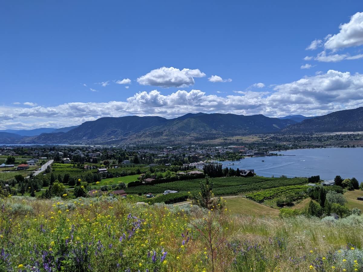 Looking out over colourful wildflowers towards the city of Penticton, with sits next to Okanagan Lake, with mountainous terrain in the background. Vineyards and housing are visible below