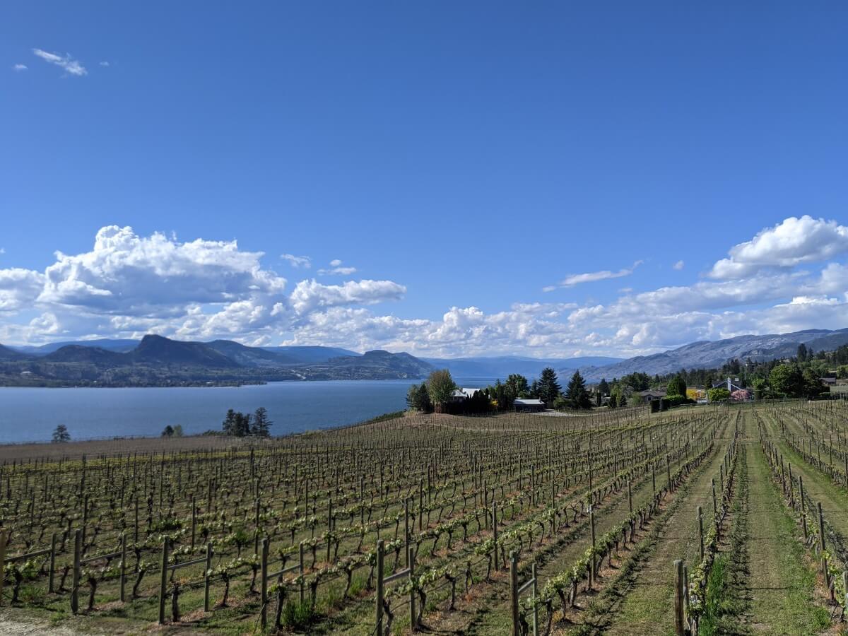 Side view from Moraine Winery looking across vineyards to Okanagan Lake below, bordered by mountains