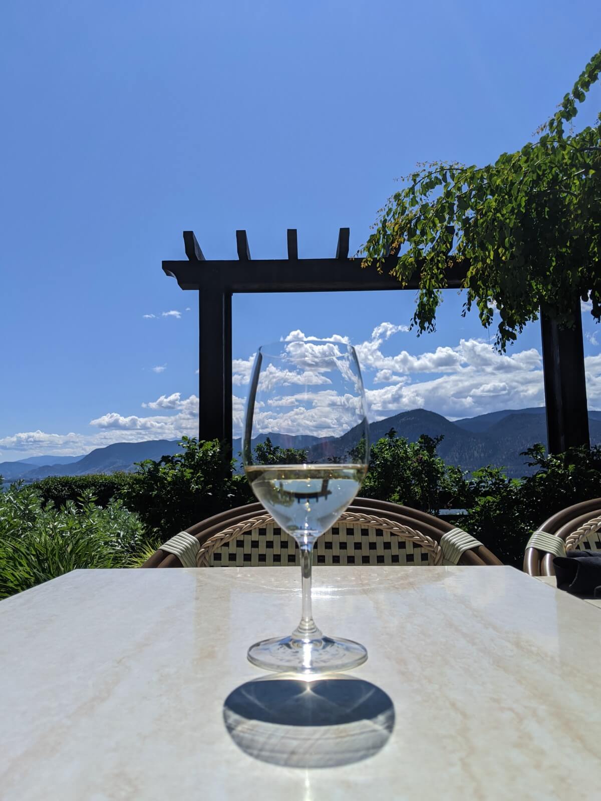 A singular wine glass (half filled with white wine) sits on a light coloured table, in front of a scenic view of plants (foreground) and mountains (background)
