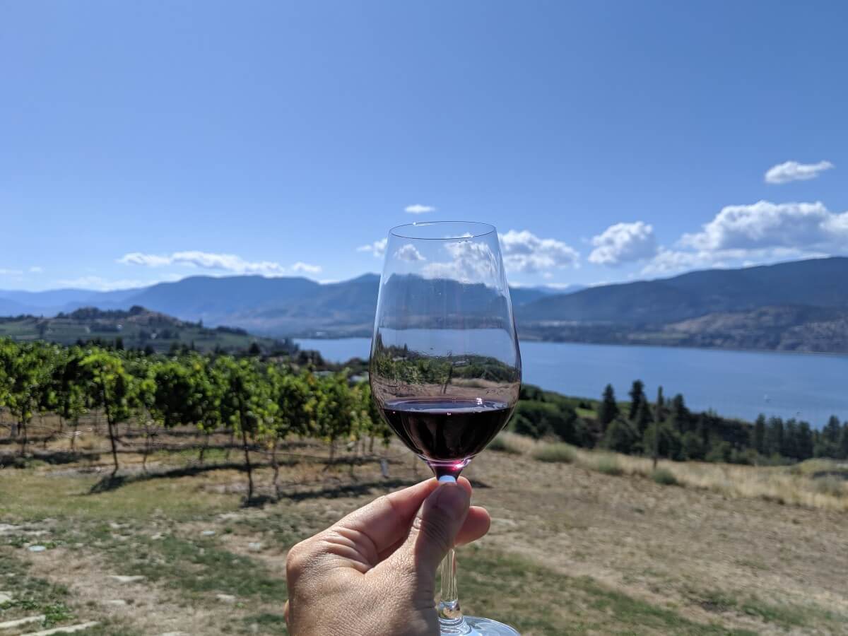 A hand is holding up a glass of red wine in front of a view of vineyards, with Okanagan Lake in the background