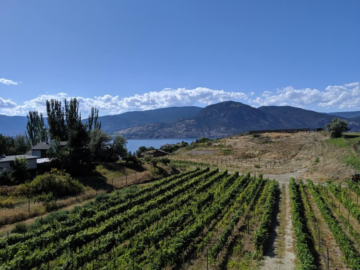 Looking out from Singletree's patio looking over vineyards to Okanagan Lake