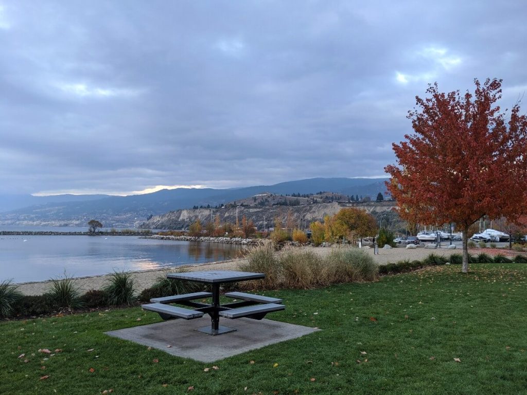 Looking across to metal picnic bench on grassy lawn area in front of beach at Marina Way Park in Penticton