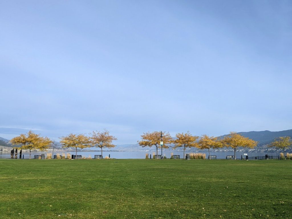 Looking across grassy lawn area to lake in distance, with yellow (autumn) trees in front with many benches