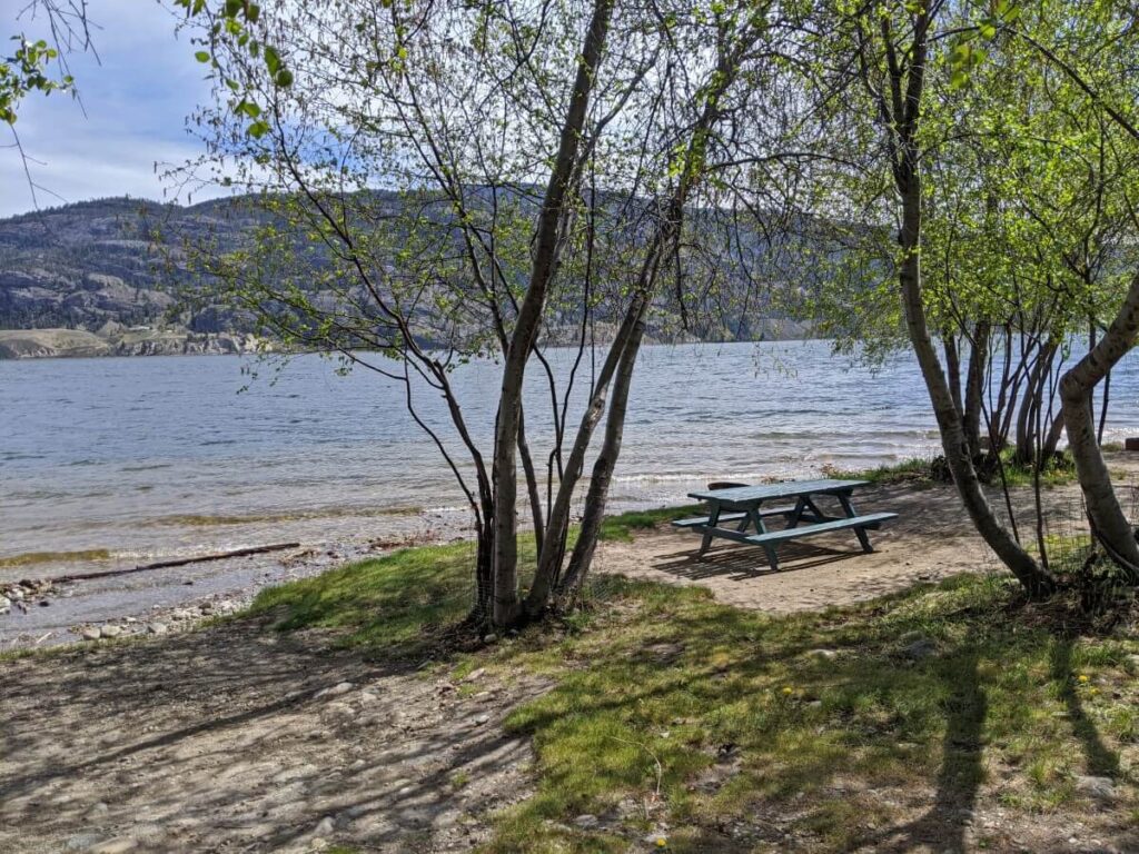 Wooden picnic table set on cleared area next to Skaha Lake, surrounded by trees. The lake level is very high. Forested hills are visible on the other side of the water