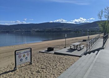 Best Penticton Picnic Spots: Where to Go For Lunch With a View