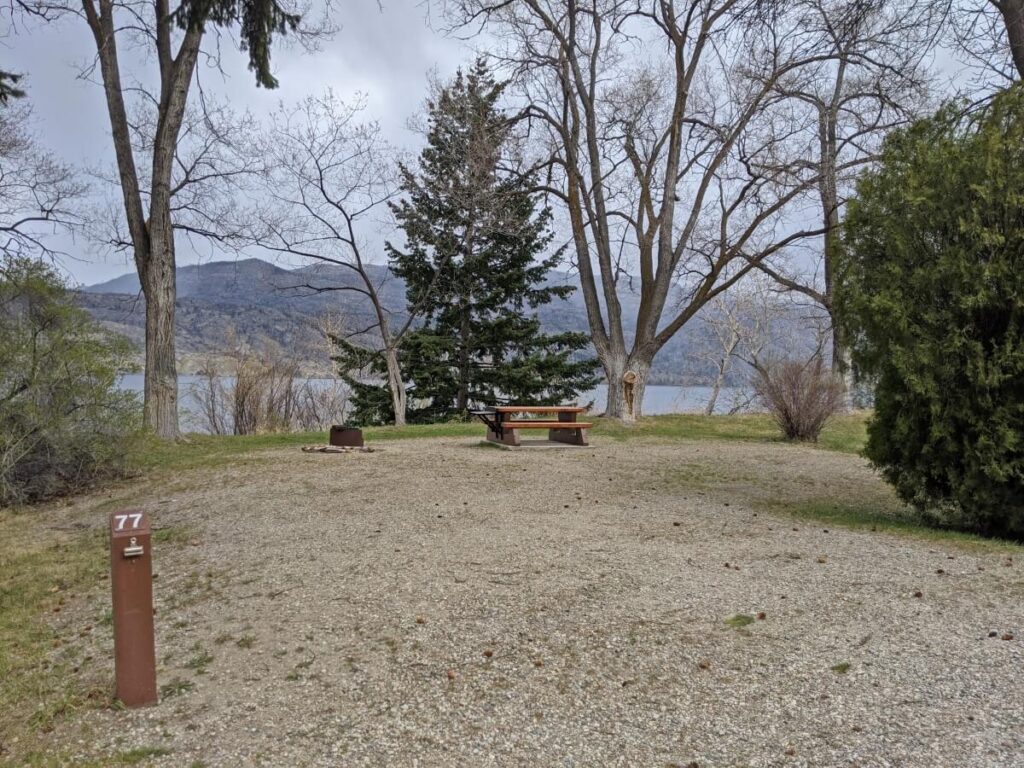 Flat gravel campsite at campground, with numbered post in foreground (77) and wooden picnic table and metal firepit in background, surrounded by trees with lake visible through
