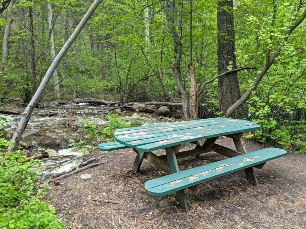 Green picnic table next to Naramata Creek, surrounded by forest