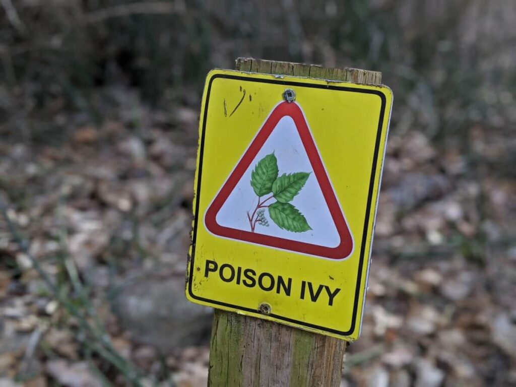 Close up of red and yellow Poison Ivy sign, which features picture of the three leaves