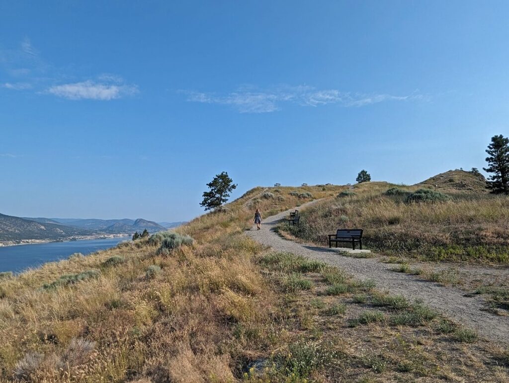 Back view of hiker walking on gravel path along spine trail leading to the summit of Munson Mountain. The trial is surrounded by grass. There are benches along the trail and Okanagan Lake visible in the background