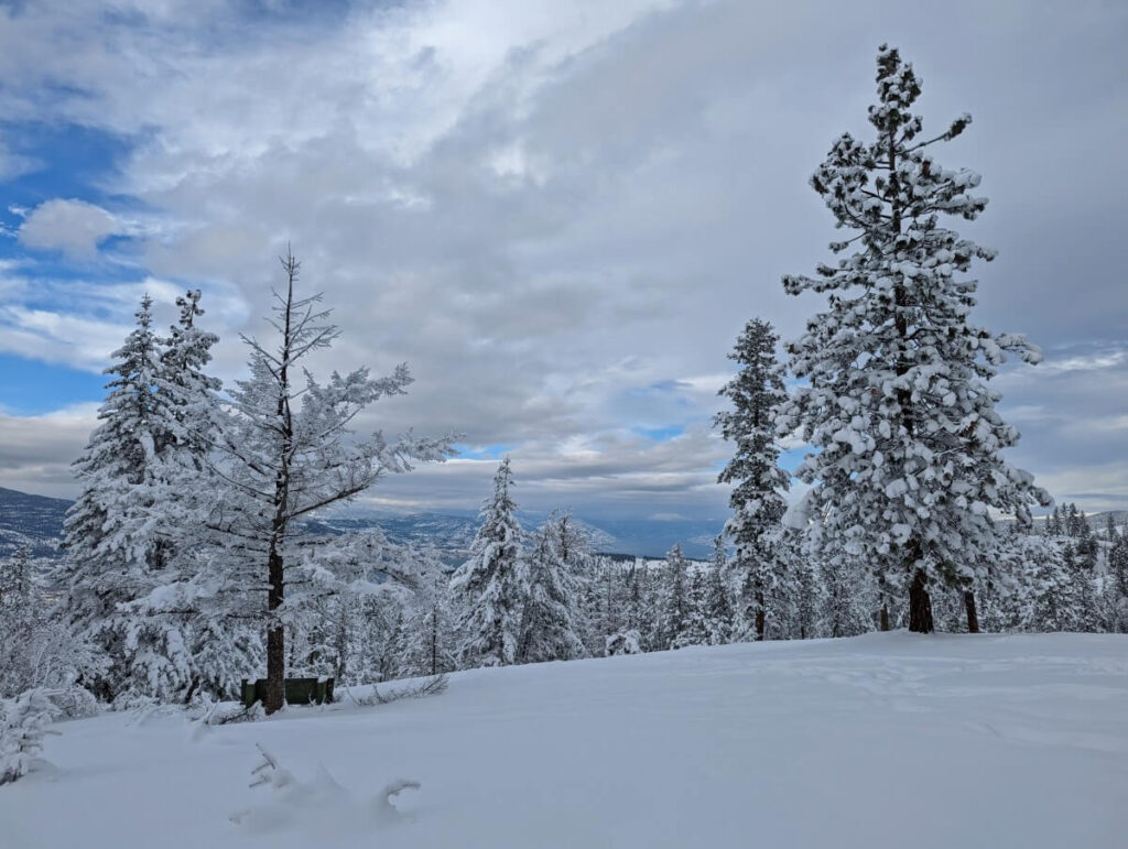 Looking across snowy scenery on the Canyon View Trail, with very snowy trees and snowy mountains in the background