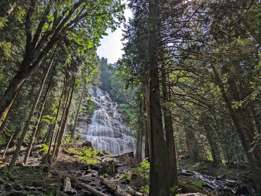 Tall Bridal Veil Falls cascading down rock above, peek through view in forest