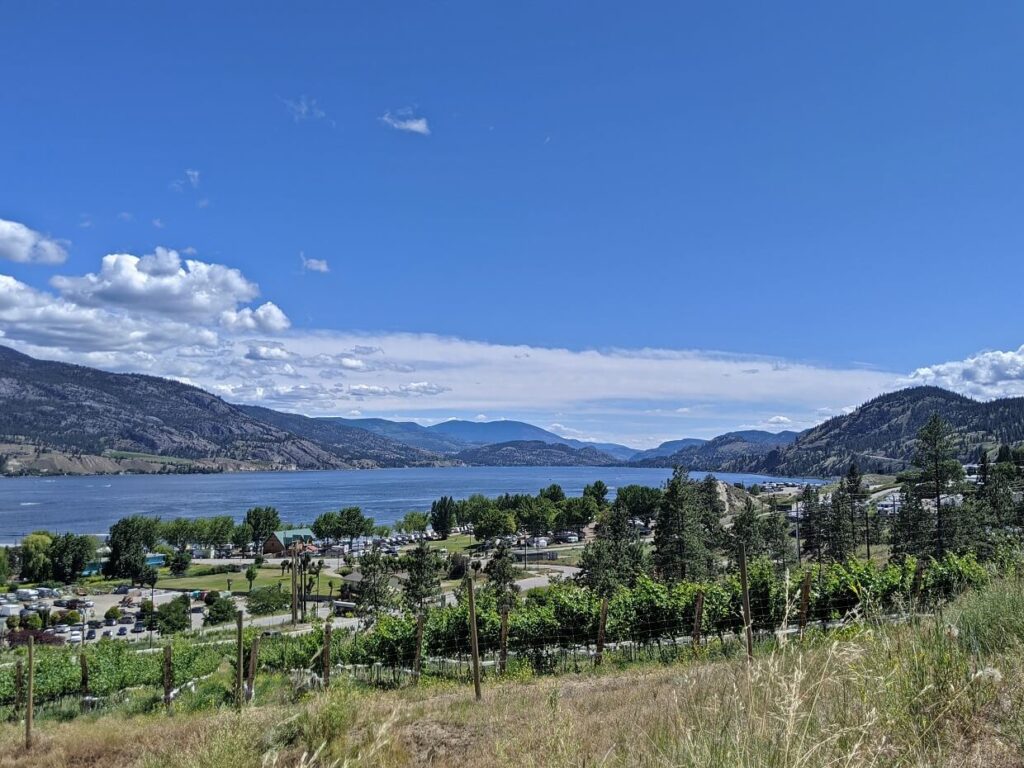 Looking over line of vineyards to Skaha Lake, with calm lake in background and rugged hills rising above