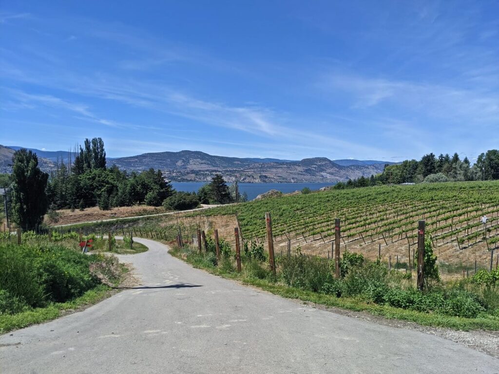 Looking down paved driveway at Bella Winery with vineyards on right, Okanagan Lake in background, backdropped by mountains
