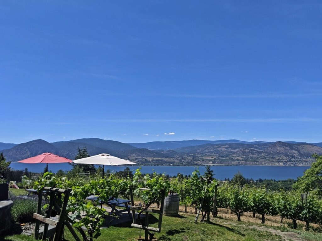 Patio views at Nichol Vineyard with picnic tables and umbrellas in front of sloping vineyard, deep blue Okanagan Lake in background and forested mountains as backdrop