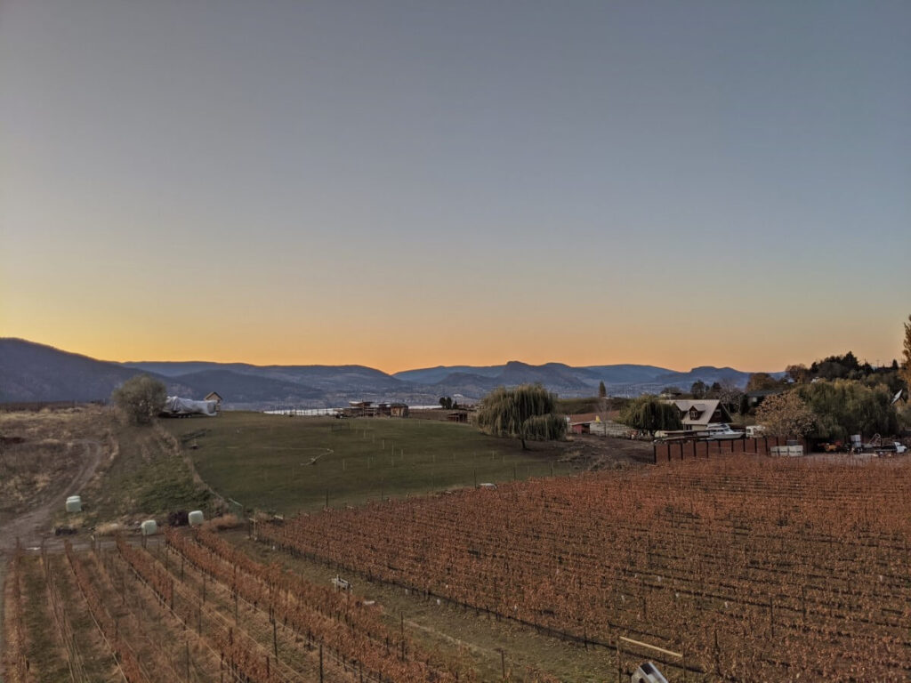 Sunset view from Tightrope Winery with  winter vineyards stretching down hill, a sliver of Okanagan Lake is visible below forested mountains in background