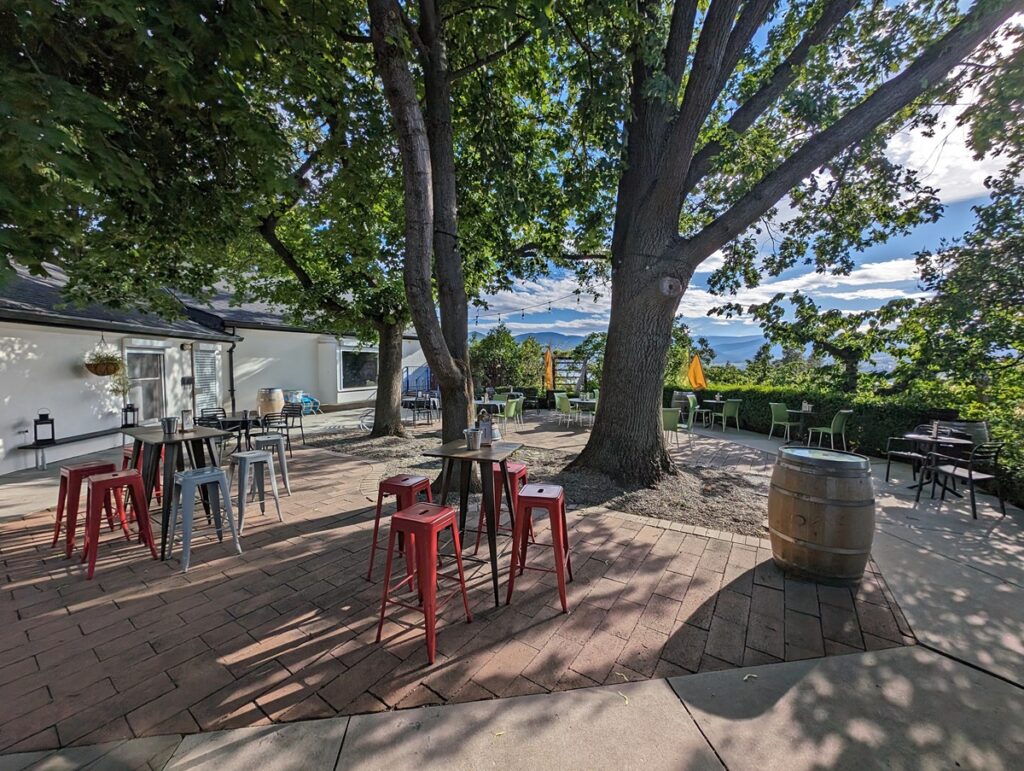 Elephant Island's outside tasting area, with large, shady trees and bar tables/chairs in foreground and lower tables and chairs in background, next to hedge