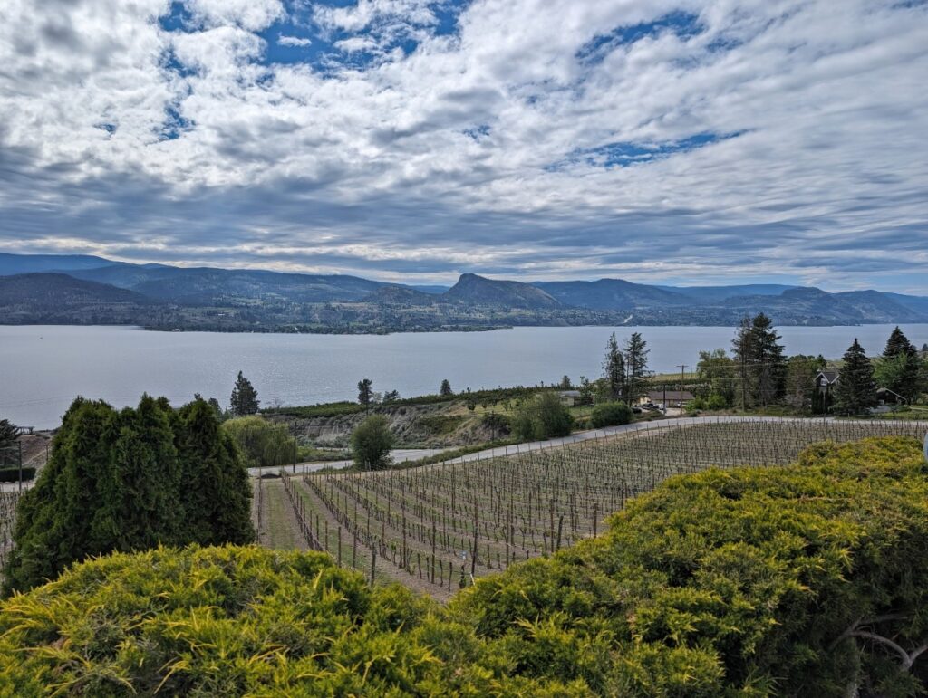 Vineyards slope down towards the road below, with Okanagan Lake views behind, backdropped by partially forested mountains