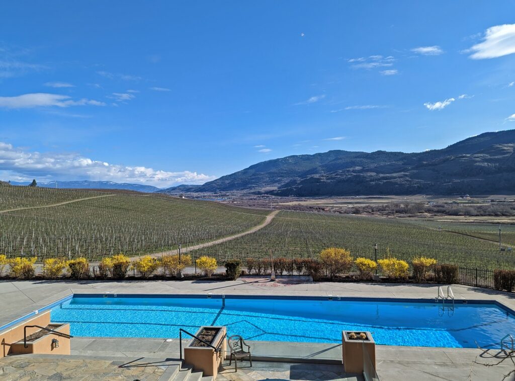 Burrowing Owl Winery swimming pool with sloping vineyards behind and hills beyond