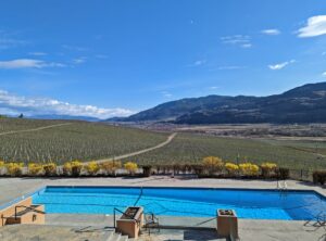 Burrowing Owl Winery swimming pool with sloping vineyards behind and hills beyond