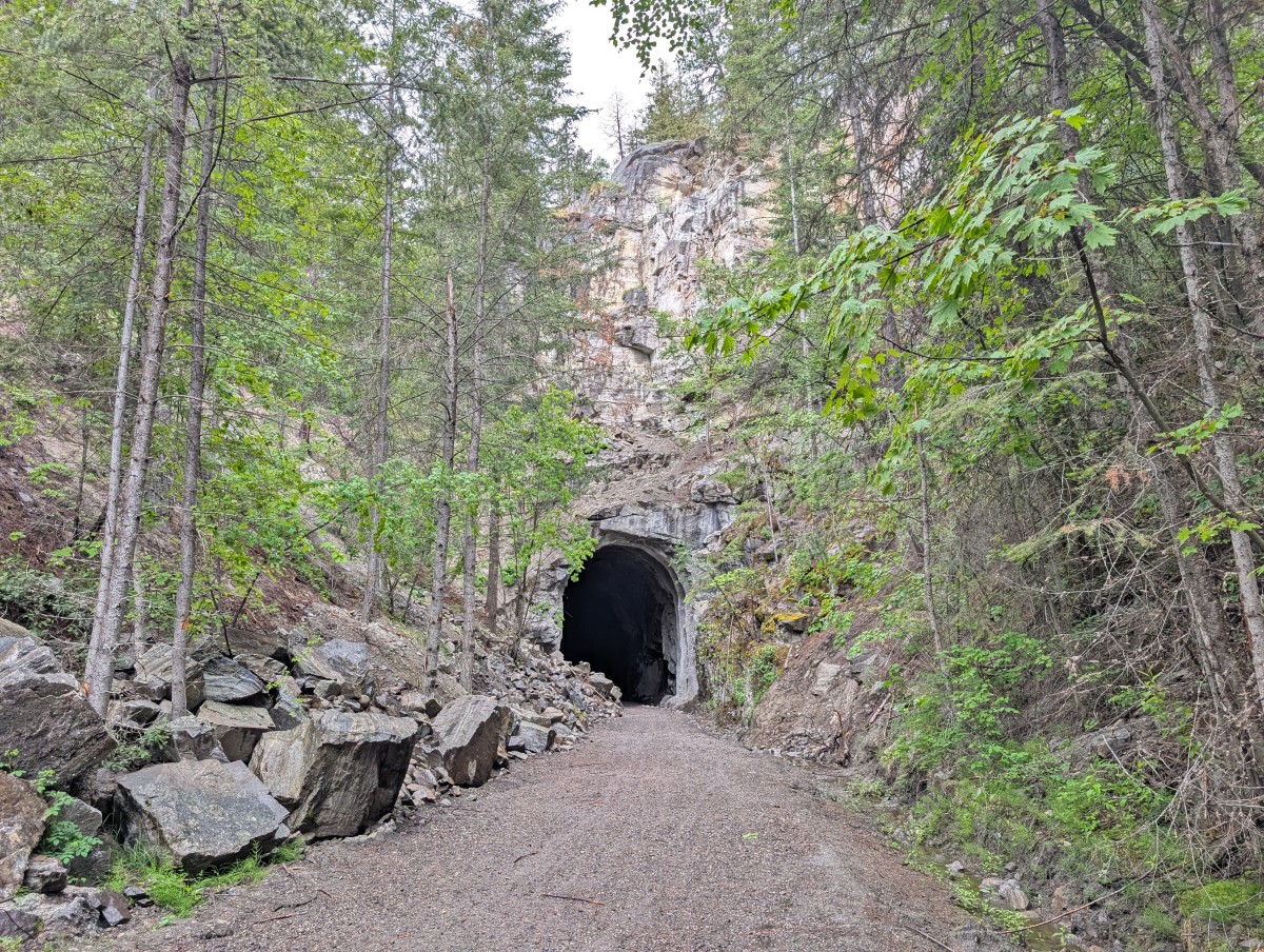 Looking ahead down rail trail to Adra Tunnel entrance, tucked away behind foliage