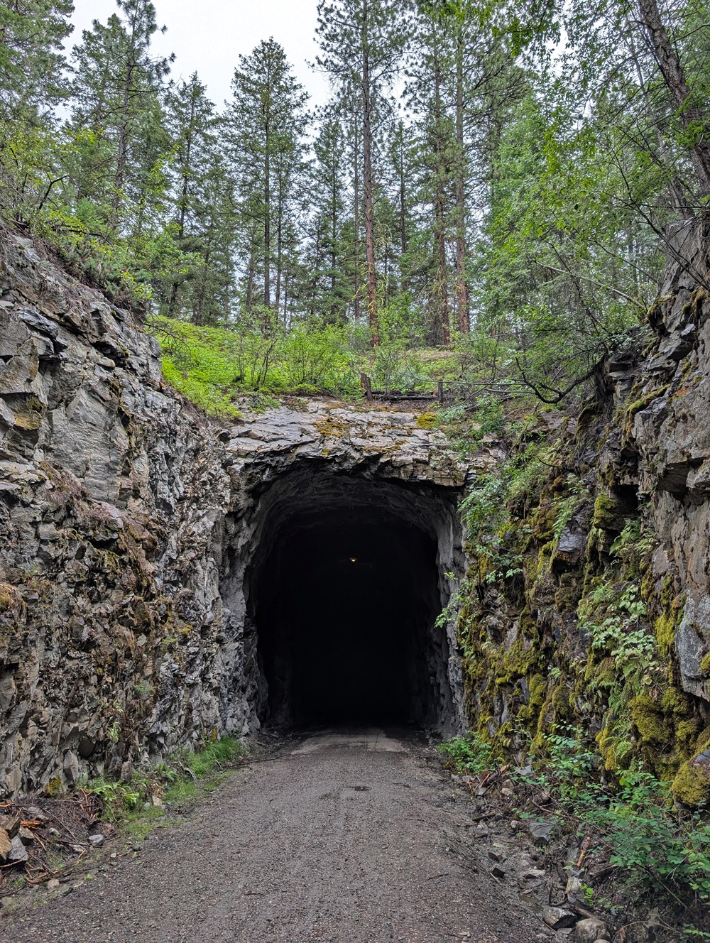 Large northern entrance to Adra Tunnel, surrounded by steep rock walls covered in moss. Forest is above