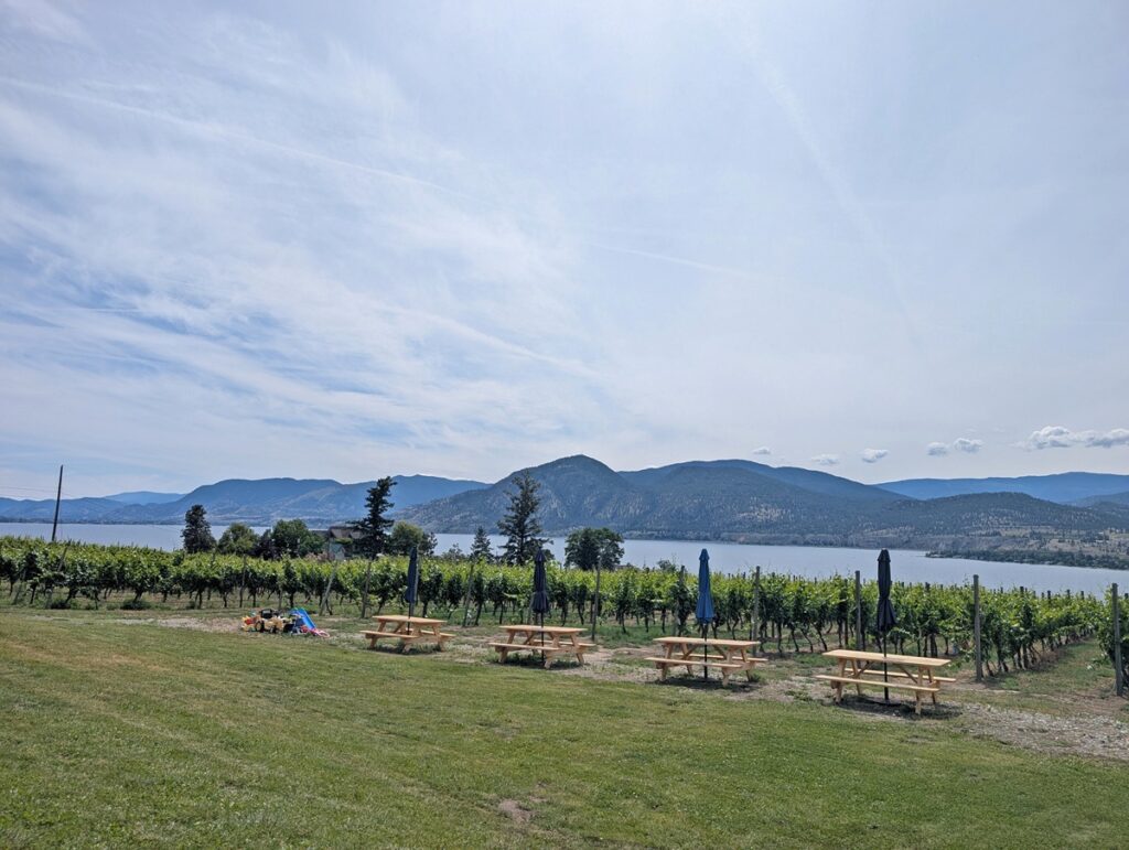 Side view of picnic tables next to expansive lawn area at Deep Roots Winery. Toys and games are visible on the left hand side. The tables are bordered by vines and have a backdrop of Okanagan Lake