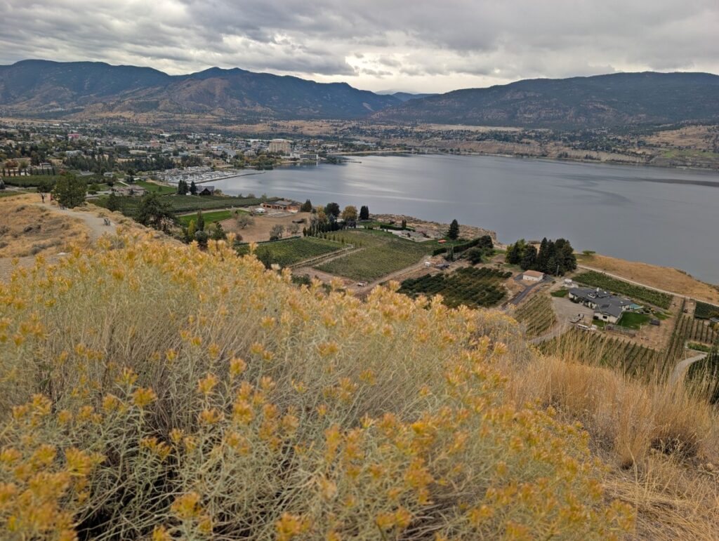 Munson Mountain views in October, looking over late season foliage towards vineyards and the city of Penticton, backdropped by forested mountains