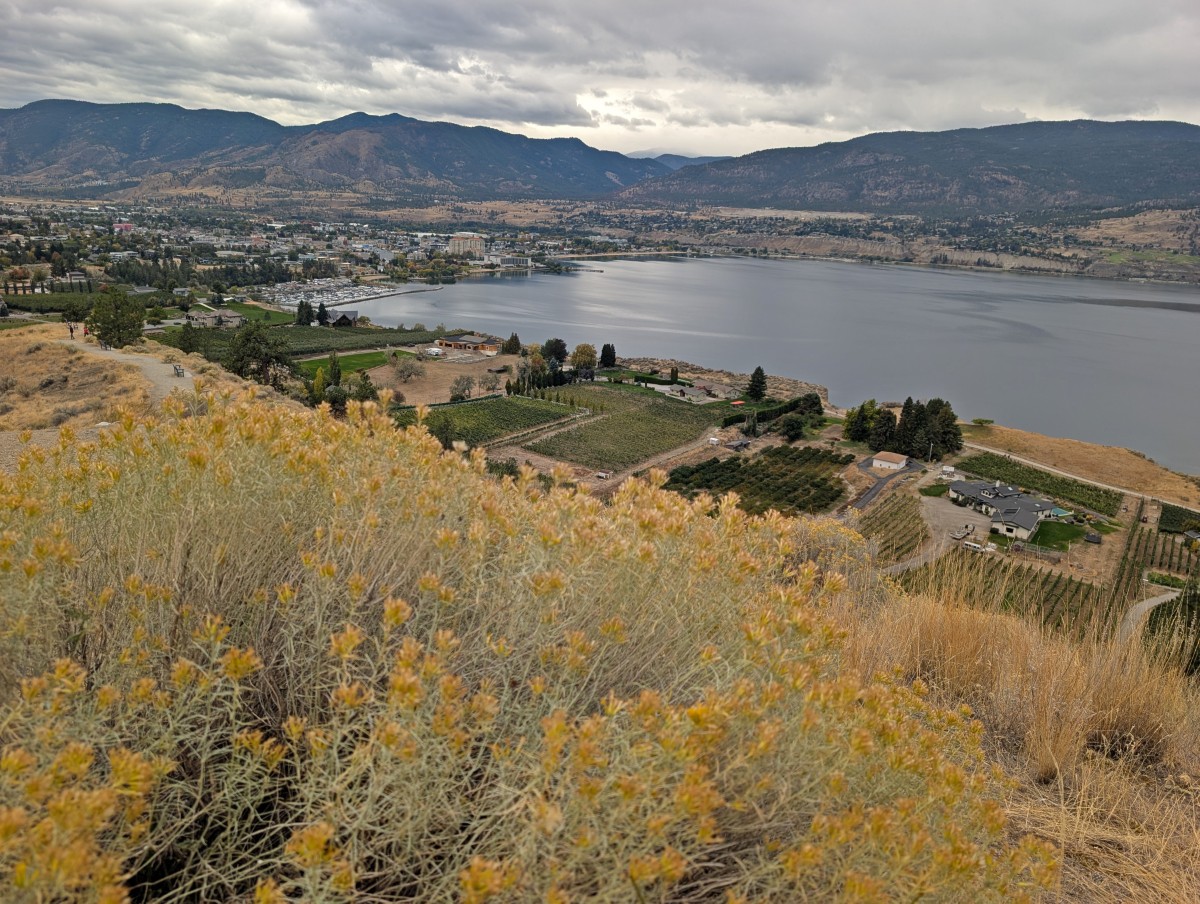 Munson Mountain views in October, looking over late season foliage towards vineyards and the city of Penticton, backdropped by forested mountains