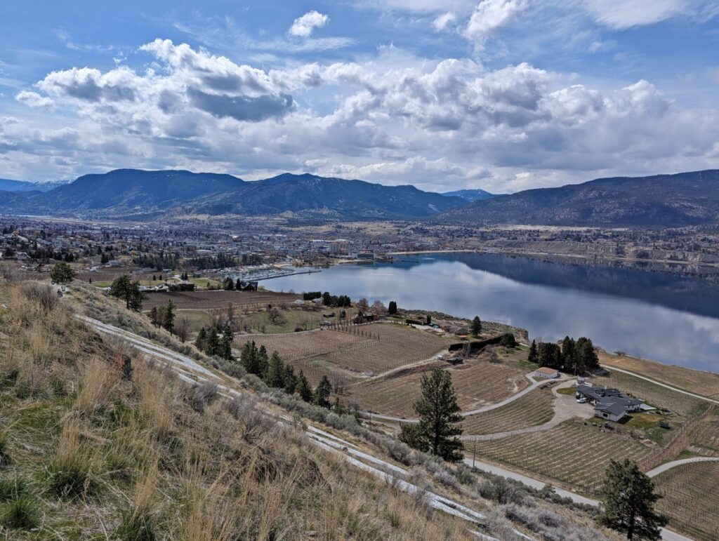 Looking down on white letters on a side of a hillside with sloped vineyards, city, lake views below